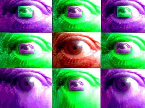 Visual Cortex.