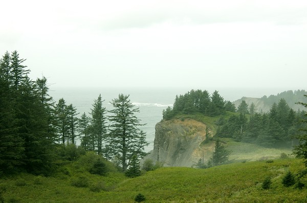 Oregon Coast Meadow