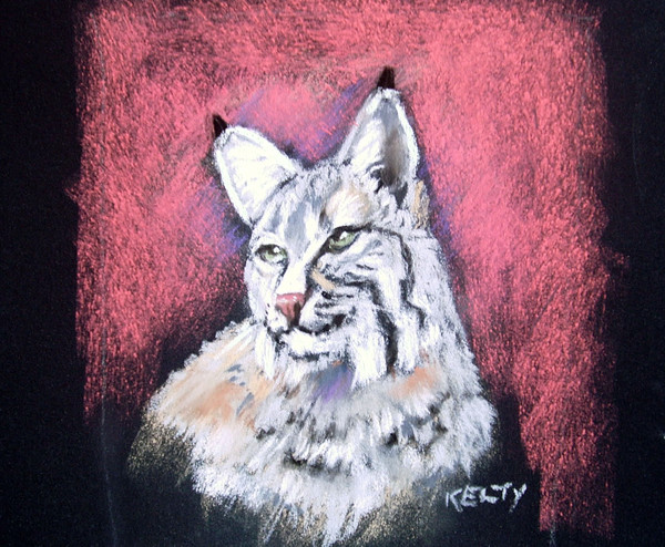 Bobcat 3