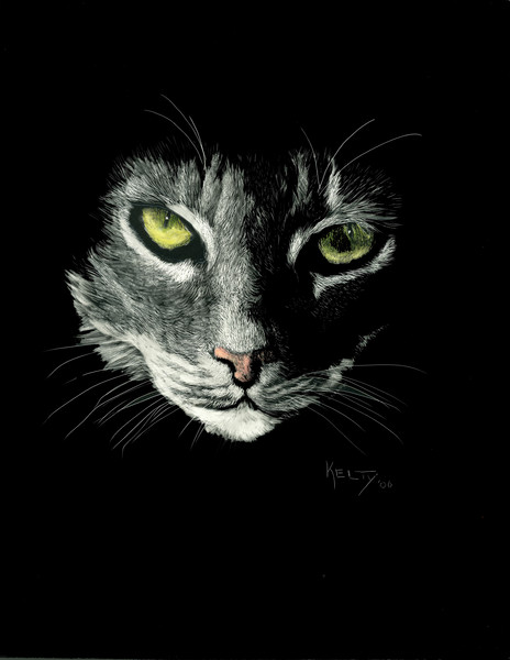 Kitty Face