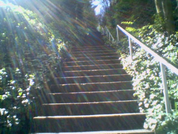 stairway