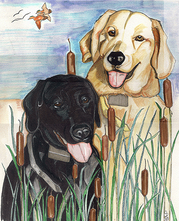 Orions Pups