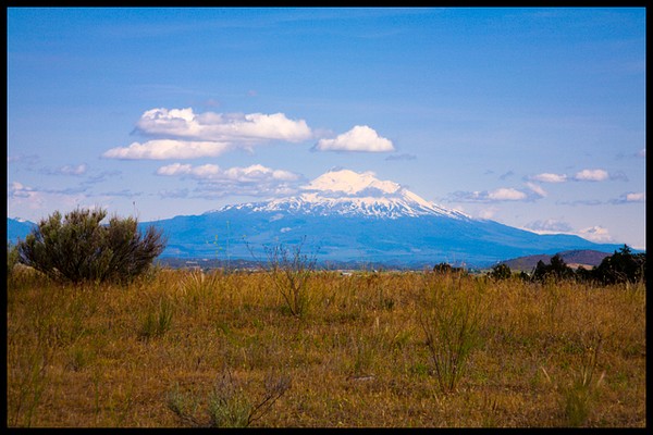 Mt. Shasta from the freeway