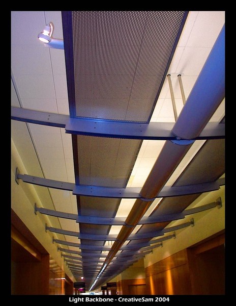 Light Spine