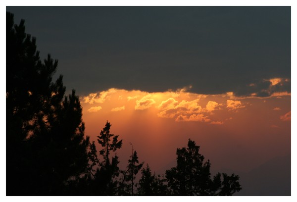 Sunset Behind Junipers