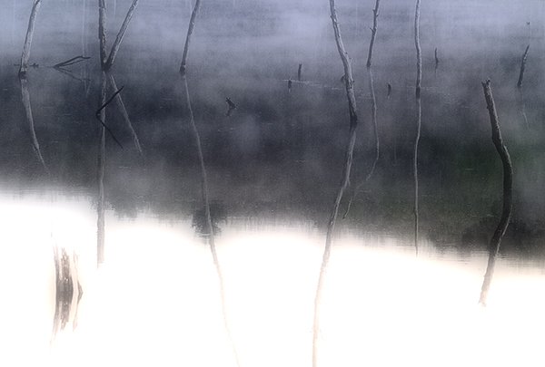 Dead Stick Reflections