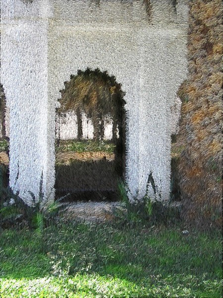 Arabian Arch