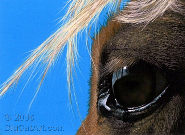 Horse's Eye I