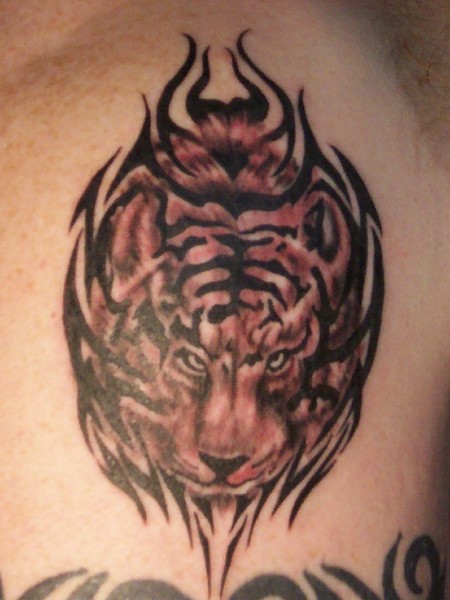 Tribal and Tiger