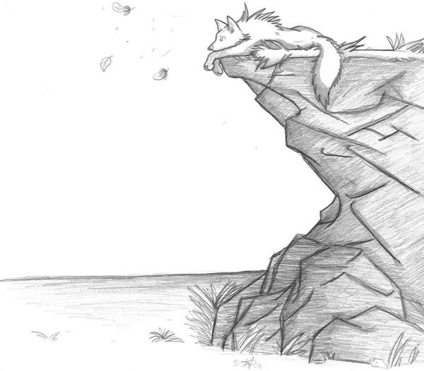 Cliff Top