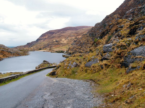 Purple Mountains Ireland