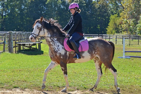 Horseback Riding