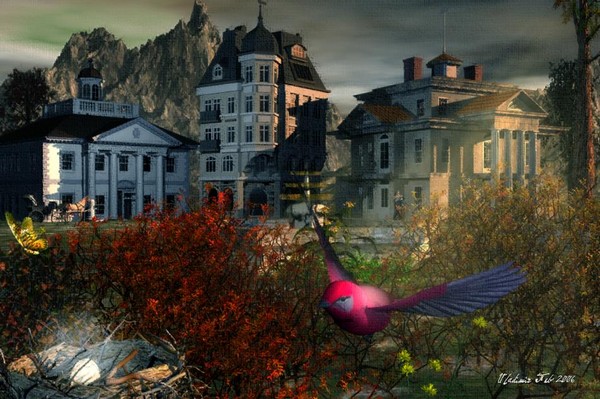 Hidden Nest