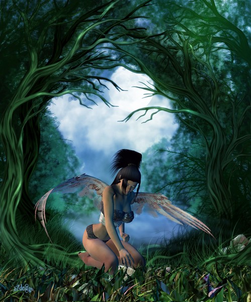 Tarnished Wings
