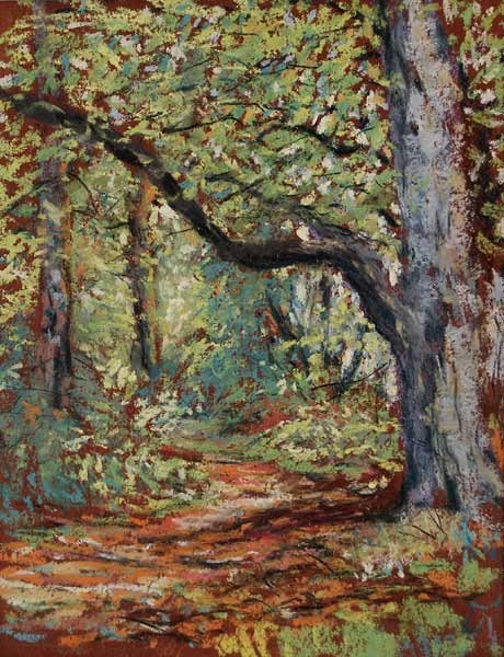 Forest Pathway