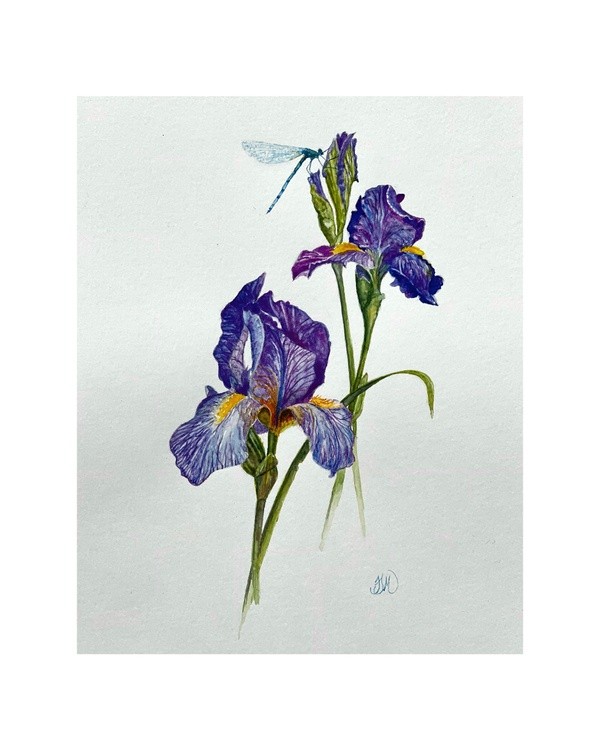 Dragonfly