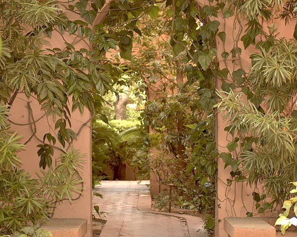 The Secret Garden