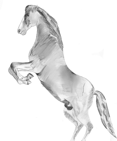 Horsie