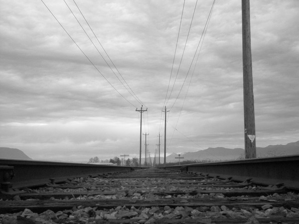 tracks