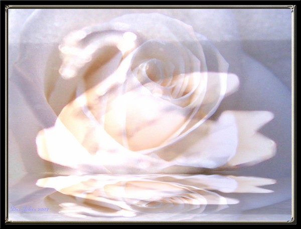 A Fragrance Of Grace