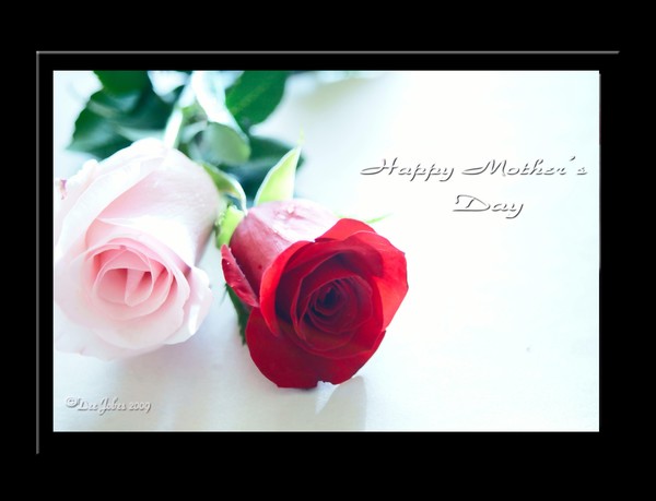 A Tribute to Mothers