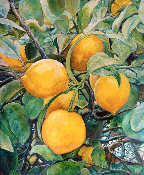 Lemons 1