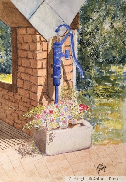 Water pump