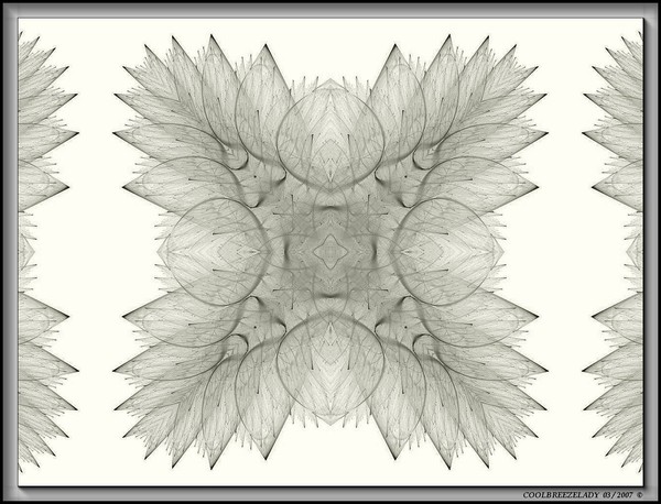 WATER LILY