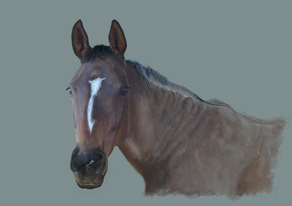 Sunday the Horse