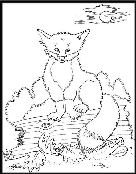 Kids Coloring Contest K-2