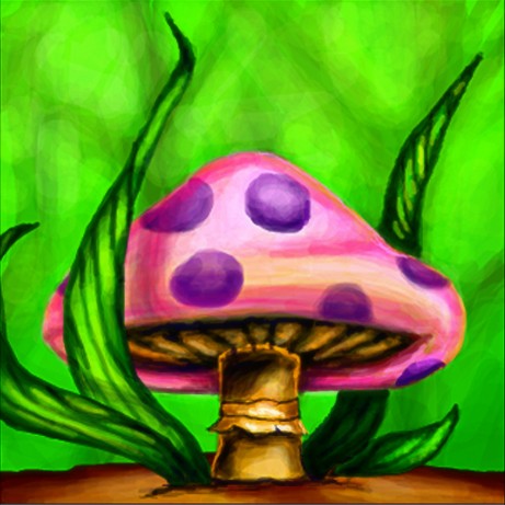 Fungii