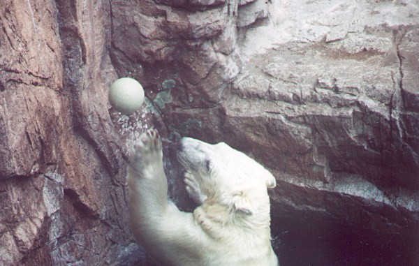 Layup