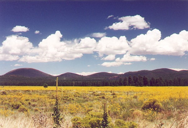 Sunset Crater in August
