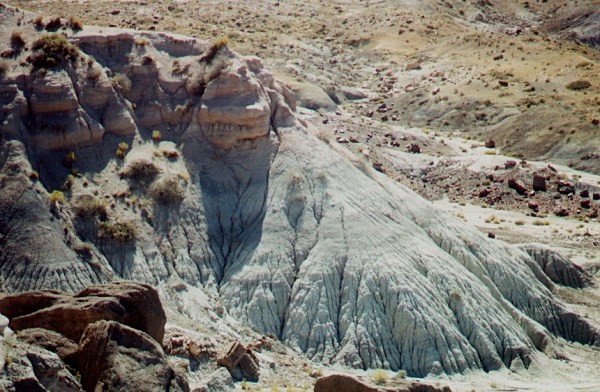 Petrified Forest Badlands
