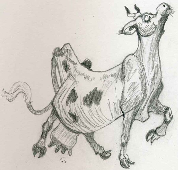 Proud Cow