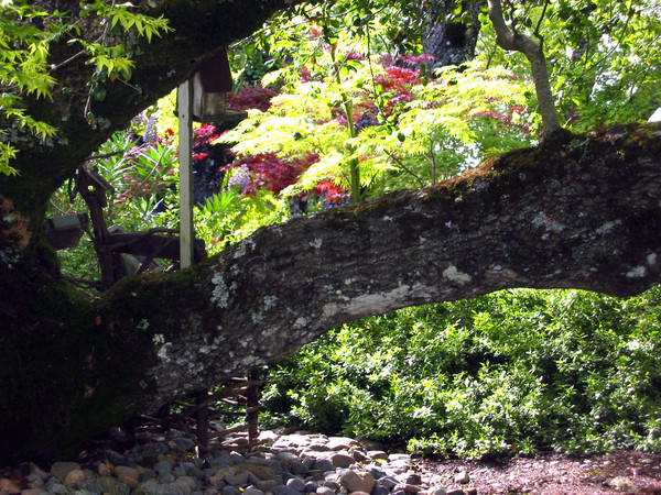 My old secret Garden