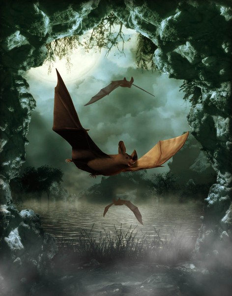Going Batty
