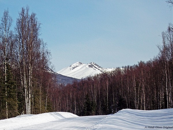 Backtrail View