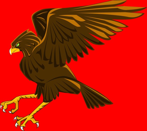 Hawk