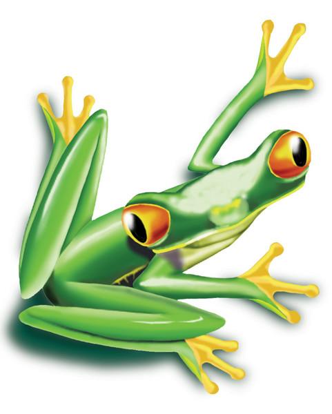 Tree Frog