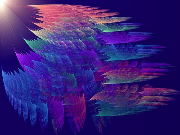 Phototropic Beauty
