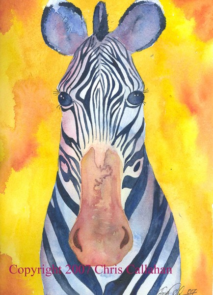 Zebra