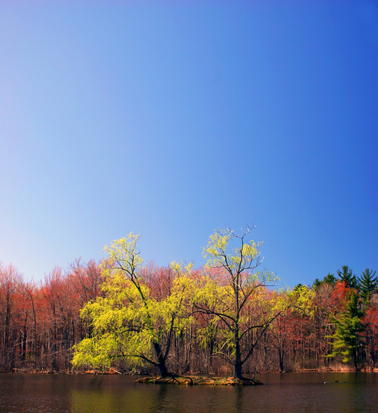 Rebirth of Color