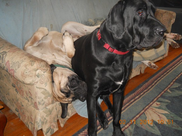 Dad! Make Room For Me !!