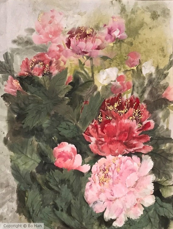 Peony series - 001