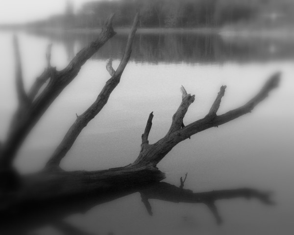 Fallen Giant