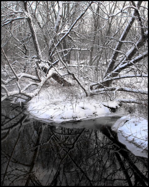 Snow On The Rivers Bank