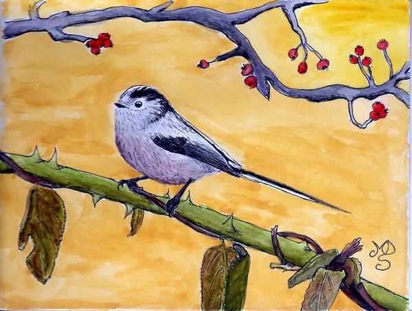 Long-tailed Tit (Aegithalos caudatus L.)