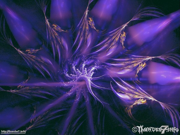 Purple_Passion