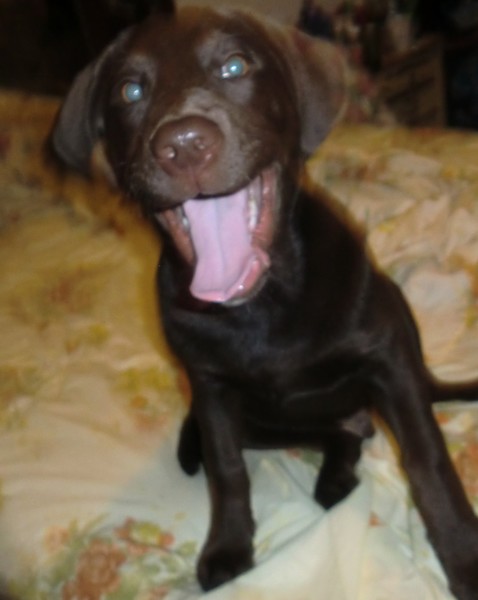 HAPPY